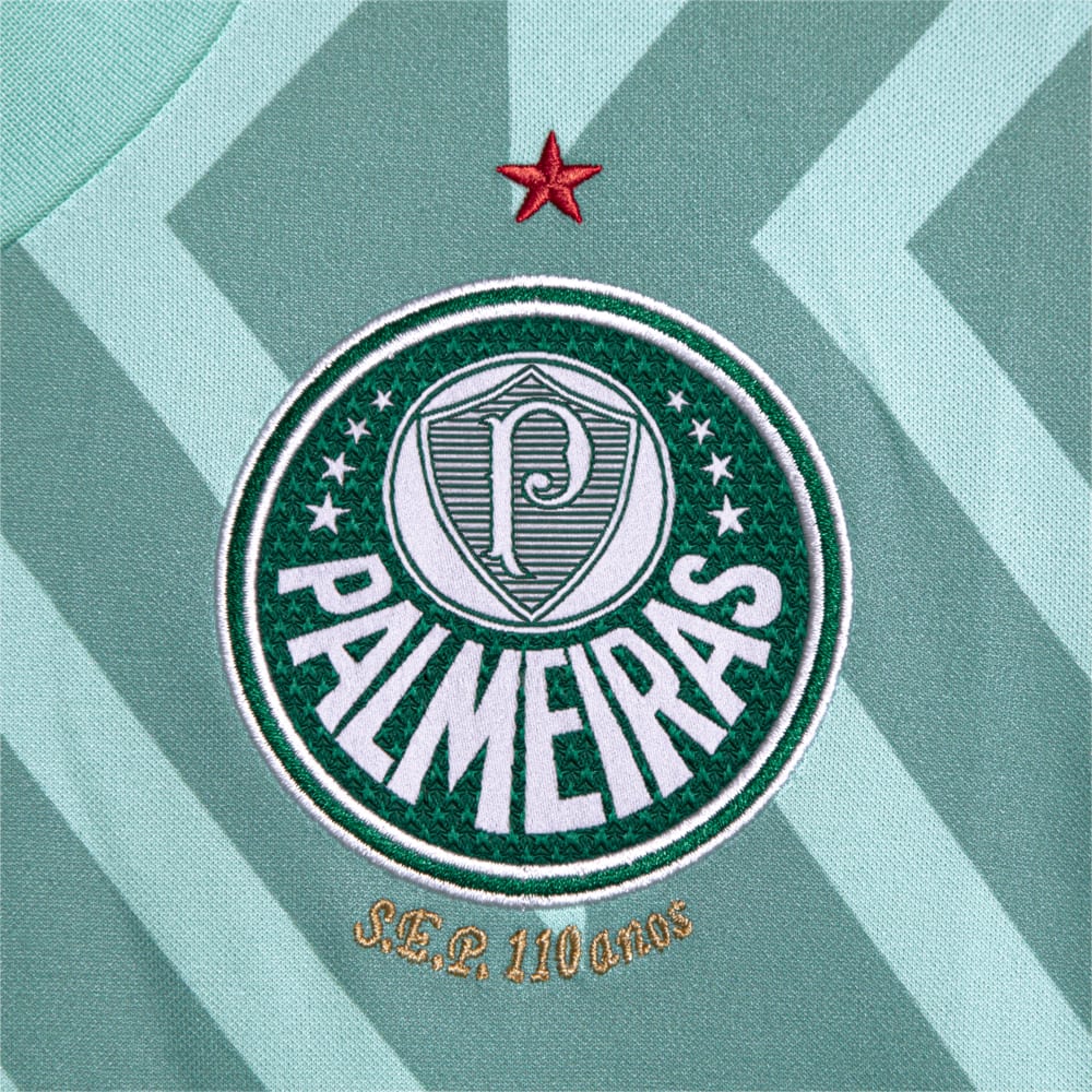 Image PUMA Camisa Palmeiras 2 AWAY Goleiro Torcedor Juvenil 24/25 #3