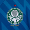 Image PUMA Camisa Palmeiras 1 HOME Goleiro Torcedor 24/25 #4