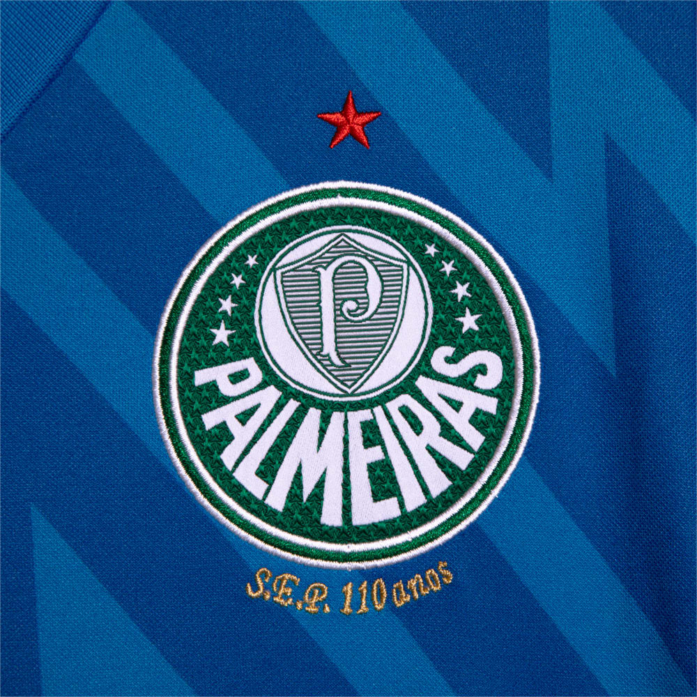 Image PUMA Camisa Palmeiras 1 HOME Goleiro Torcedor 24/25 #3
