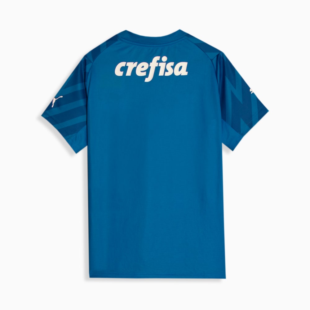Novo uniforme outlet palmeiras puma