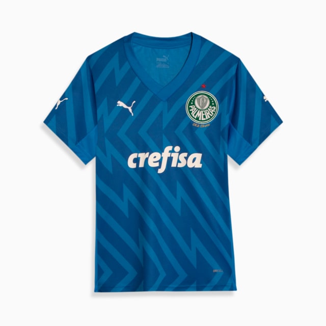 Image PUMA Camisa Palmeiras 1 HOME Goleiro Torcedor Juvenil 24/25