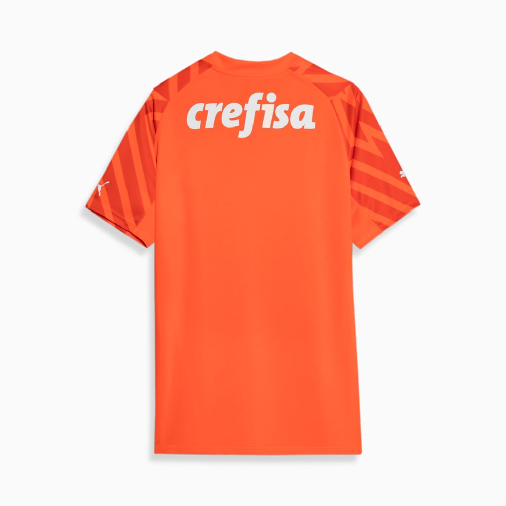 Image PUMA Camisa Palmeiras 3 THIRD 2024 Goleiro Torcedor #1