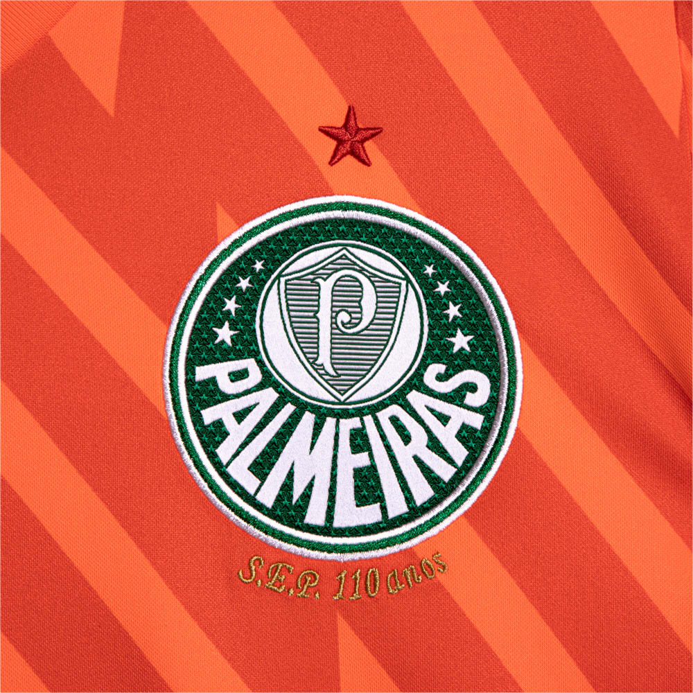 Image PUMA Camisa Palmeiras 3 THIRD 2024 Goleiro Torcedor #2