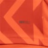 Image PUMA Camisa Palmeiras 3 THIRD 2024 Goleiro Torcedor #4
