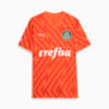Image PUMA Camisa Palmeiras 3 THIRD 2024 Goleiro Torcedor #0