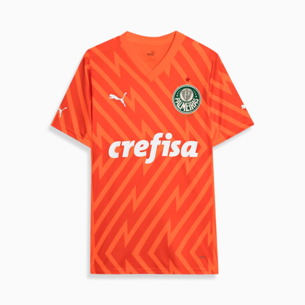 Image PUMA Camisa Palmeiras 3 THIRD 2024 Goleiro Torcedor #0