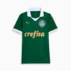 Image PUMA Camisa Palmeiras 1 HOME Juvenil 24/25 #1