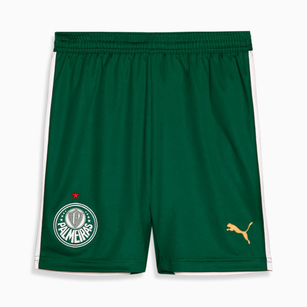 Image PUMA Shorts Palmeiras 2 AWAY Torcedor Juvenil 24/25 #1