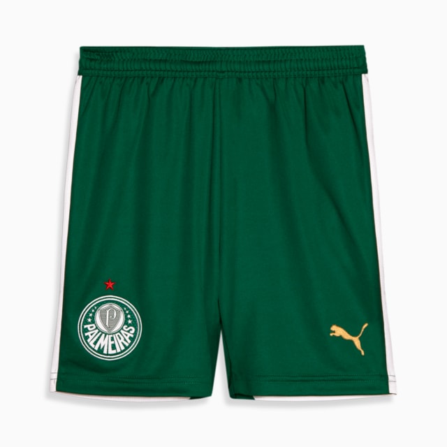 Image PUMA Shorts Palmeiras 2 AWAY Torcedor Juvenil 24/25