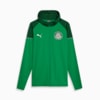 Image PUMA Jaqueta com Capuz Casual Palmeiras Torcedor 2024 #1
