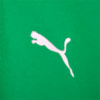 Image PUMA Camiseta Polo Casual Palmeiras 2024 #7