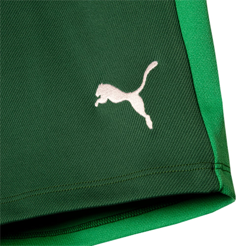 Image PUMA Shorts Casual Palmeiras 2024 #3
