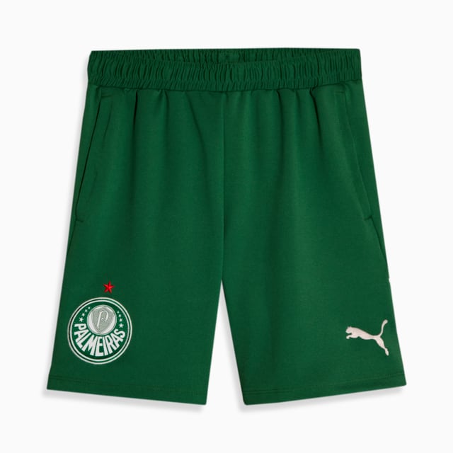 Image PUMA Shorts Casual Palmeiras 2024