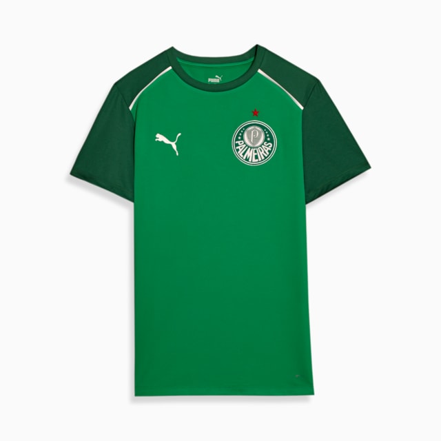 Image PUMA Camiseta Casual Palmeiras 2024
