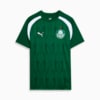 Image PUMA Camisa Pré-Jogo Palmeiras 2024 #1