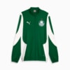 Image PUMA Jaqueta Pré-Jogo Anthem Palmeiras 2024 #1