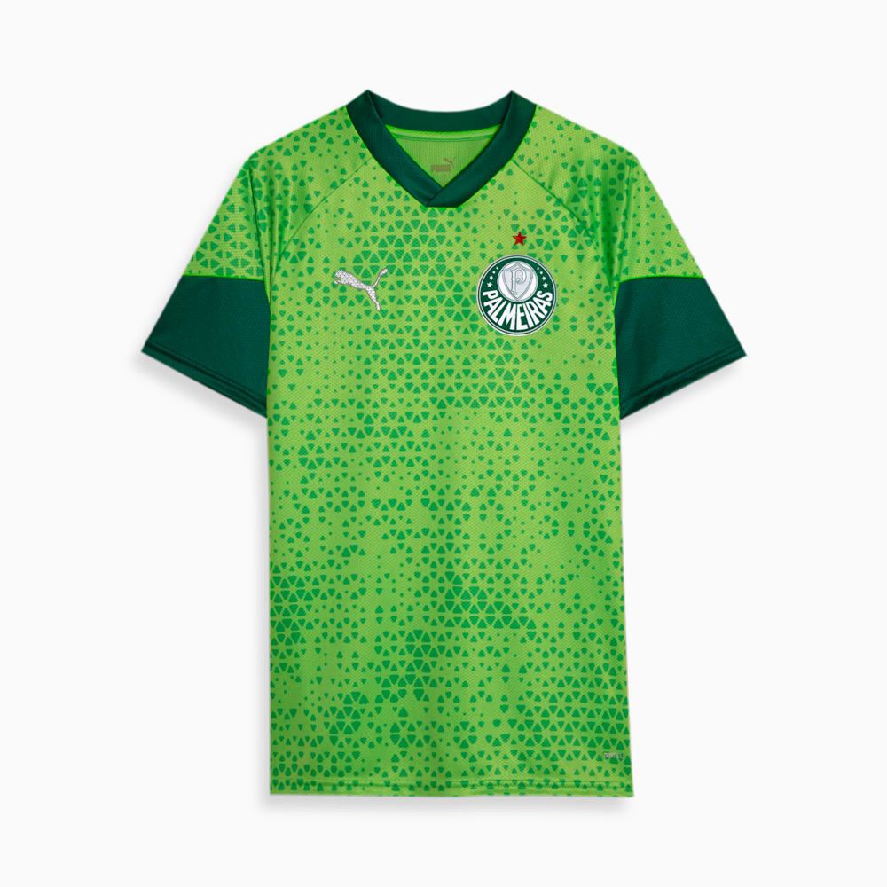 Camisa Treino e Viagem Palmeiras 2024 Verde PUMA Ref 777290 02