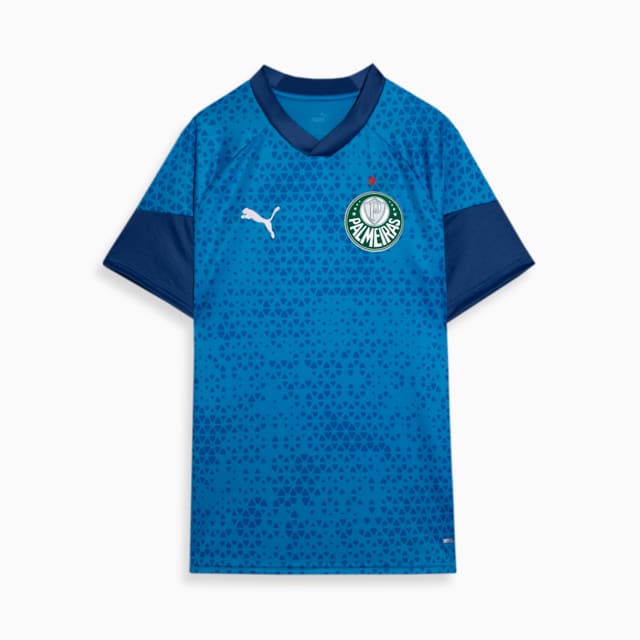 Image PUMA Camisa Treino e Viagem Palmeiras 2024