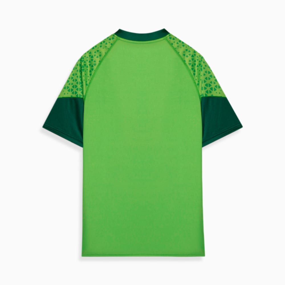 Image PUMA Camisa Treino e Viagem Palmeiras Torcedor 2024 #2