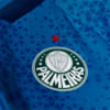 Image PUMA Camisa Treino e Viagem Palmeiras Torcedor 2024 #3