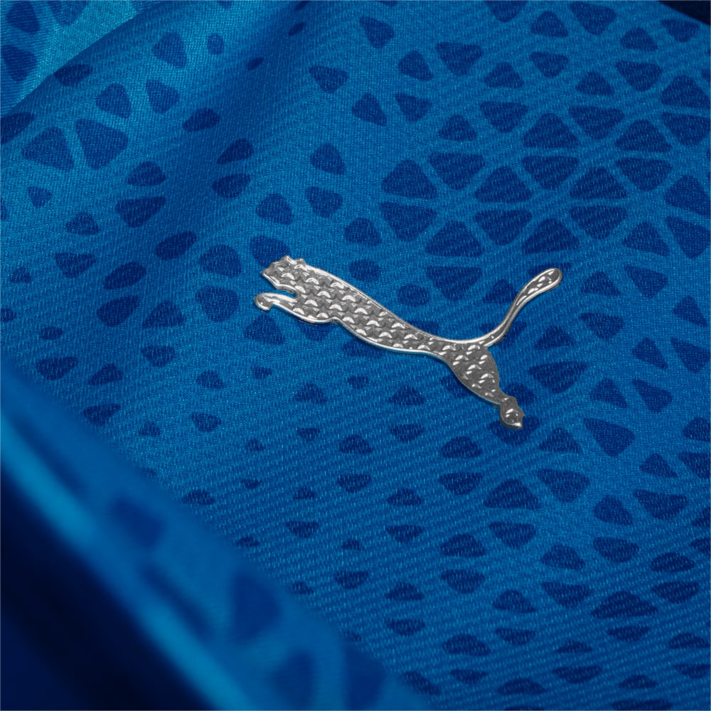 Image PUMA Camisa Treino e Viagem Palmeiras Torcedor 2024 #4