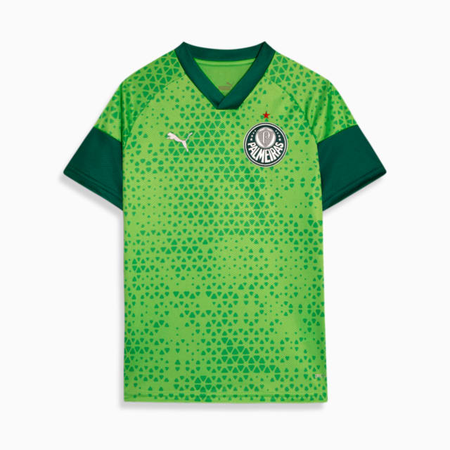 Agasalho do palmeiras juvenil clearance