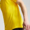 Image PUMA Camisa Treino Borussia Dortmund Masculina #4