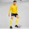 Зображення Puma Олімпійка FC Shakhtar Donetsk Quarter-Zip Training Top Men #3: Faster Yellow-PUMA White