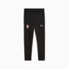 Изображение Puma Штаны FC Shakhtar Donetsk Training Pants Men #6: Puma Black-Puma White
