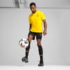 Зображення Puma Шорти FC Shakhtar Donetsk Training Shorts Men #3: Puma Black-Puma White