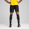 Зображення Puma Шорти FC Shakhtar Donetsk Training Shorts Men #4: Puma Black-Puma White