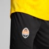 Зображення Puma Шорти FC Shakhtar Donetsk Training Shorts Men #5: Puma Black-Puma White