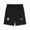 Изображение Puma Шорты FC Shakhtar Donetsk Training Shorts Men #6: Puma Black-Puma White