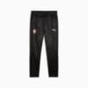 Изображение Puma Штаны FC Shakhtar Donetsk Training Warm Pants Men #6: Puma Black-Puma White