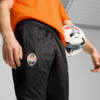 Изображение Puma Штаны FC Shakhtar Donetsk Training Warm Pants Men #5: Puma Black-Puma White