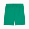 Image PUMA Shorts SE Palmeiras Football Training Masculino #2