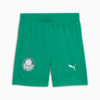Image PUMA Shorts SE Palmeiras Football Training Masculino #1
