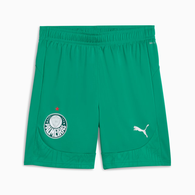 Image PUMA Shorts SE Palmeiras Football Training Masculino