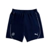 Imagen PUMA Shorts de entrenamiento Universidad Católica para hombre #6