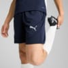 Imagen PUMA Shorts de entrenamiento Universidad Católica para hombre #5