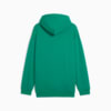 Image PUMA Moletom com Capuz SE Palmeiras ftblNRGY+ Masculino #2