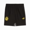 Image PUMA Shorts Borussia Dortmund ftblARCHIVE Masculino #5