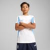 Image PUMA Camiseta Manchester City ftblARCHIVE Juvenil #1