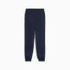 Image PUMA Calça Manchester City ftblARCHIVE Juvenil #6