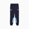 Image PUMA Calça Manchester City ftblARCHIVE Juvenil #5