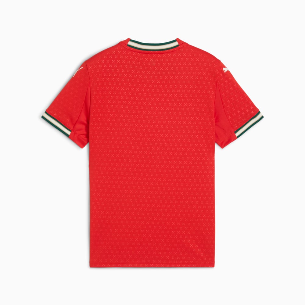 Image PUMA Camisa Portugal Home 2025 Juvenil #5