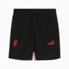 Image PUMA Shorts AC Milan ftblARCHIVE Masculino #6