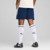 Image PUMA Shorts de Treino Portugal Masculino #4