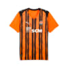 Изображение Puma Футболка FC Shakhtar Donetsk 25/26 Home Jersey Men #1: Rickie Orange-PUMA Black