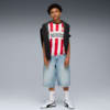 Imagen PUMA Camiseta PSV Eindhoven 1.ª equipación 25/26 juvenil #3